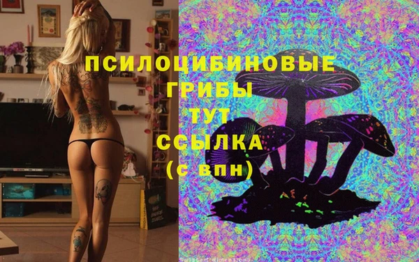 бошки Алзамай