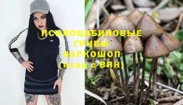 бошки Алзамай