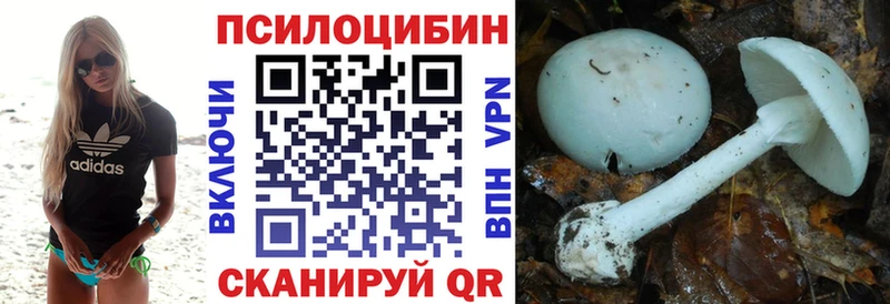 Галлюциногенные грибы Psilocybe  дарнет шоп  Приволжский 